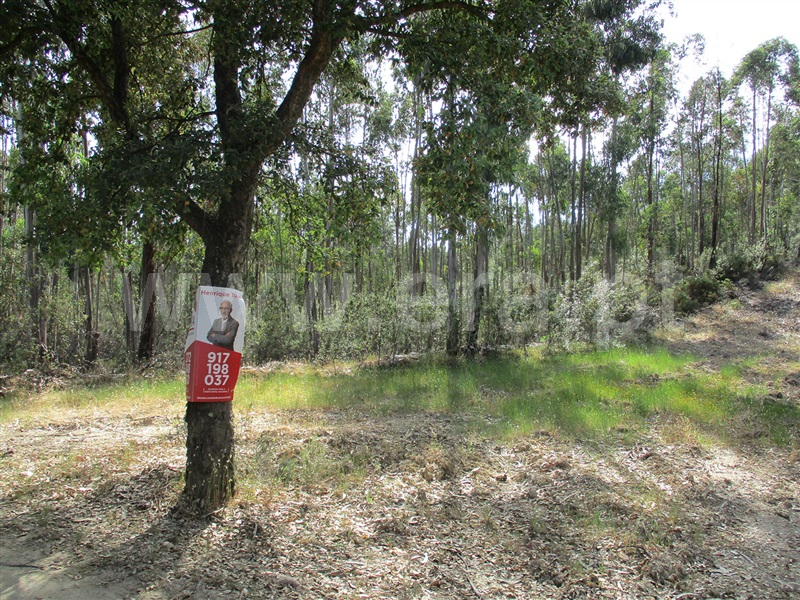 Terreno / Vila Velha de Rodão, Sarnadas de Ródão