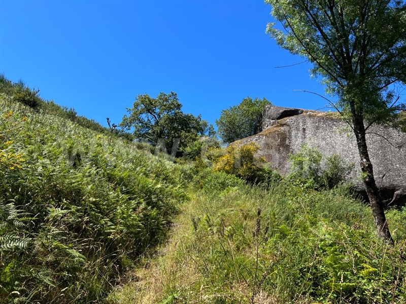 Terreno / Vila Verde, Aboim da Nóbrega e Gondomar
