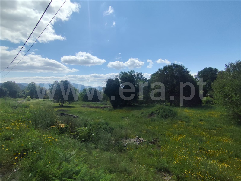 Terreno / Vila Verde, Vila Verde e Barbudo