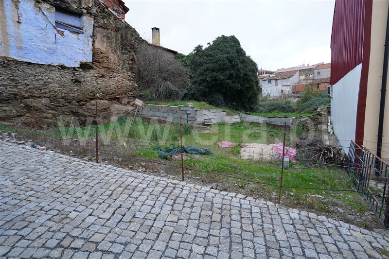 Terreno / Vimioso, Argozelo