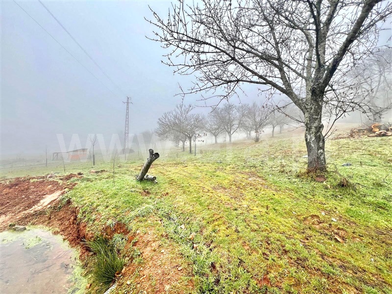 Terreno / Vinhais, Vilar de Ossos