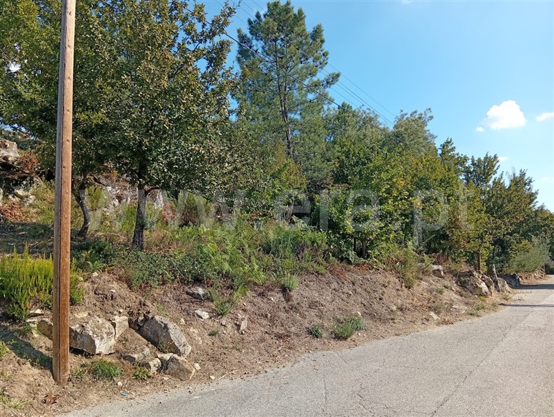 Terreno / Viseu, Bodiosa