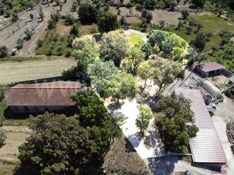 Terreno / Viseu, Calde