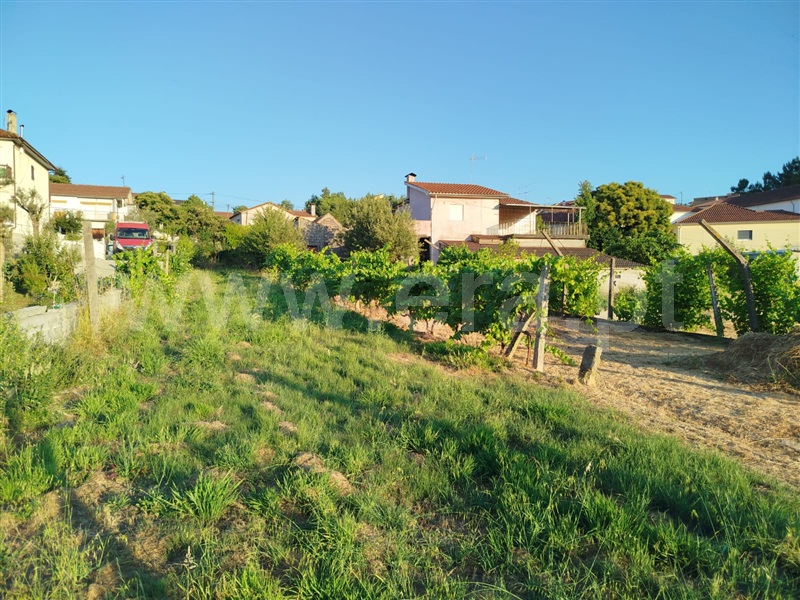 Terreno para Construção  Viseu, Campo - 1490946 - 3