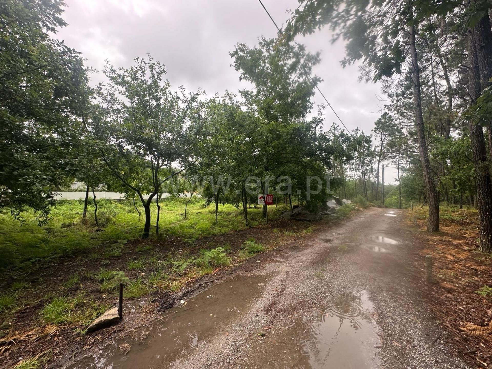 Land for sale in Viseu, Portugal — €92,500