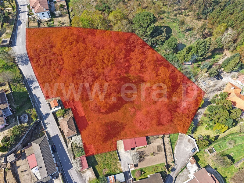 Terreno / Viseu, Couto de Baixo e Couto de Cima