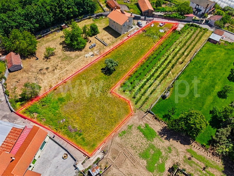 Terreno / Viseu, Couto de Baixo e Couto de Cima