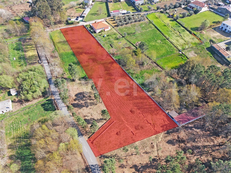 Terreno / Viseu, Lordosa
