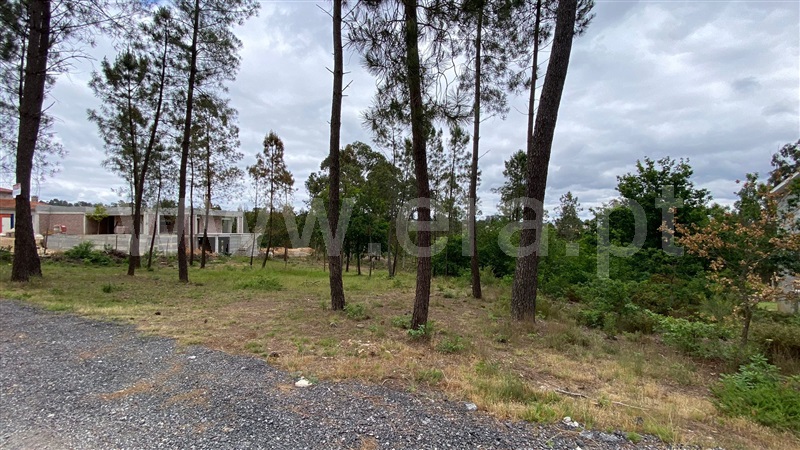 Terreno / Viseu, Mundão