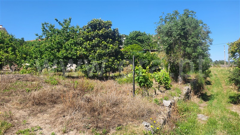 Terreno para Construção  Viseu, São João de Lourosa - 1407226 - 2