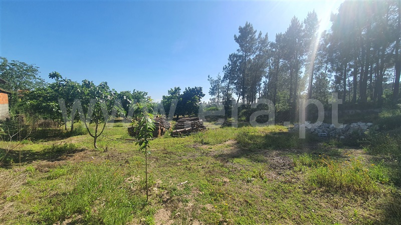 Terreno para Construção  Viseu, São João de Lourosa - 1407226 - 6