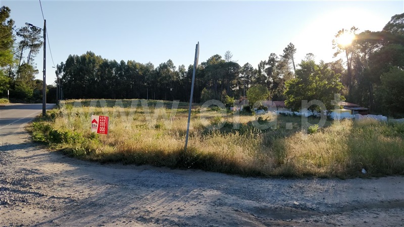 Terreno / Viseu, Silgueiros