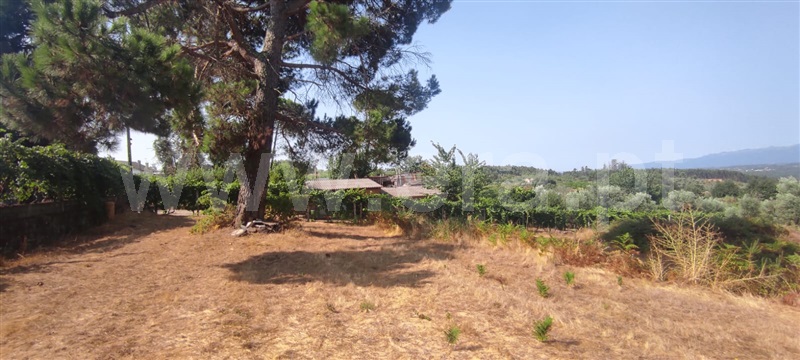 Terreno / Viseu, Silgueiros