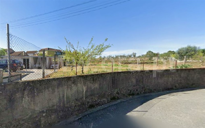 Terreno / Viseu, Silgueiros