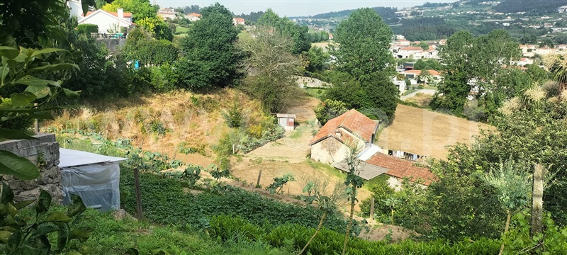 Terreno / Vizela, Tagilde e Vizela (São Paio)