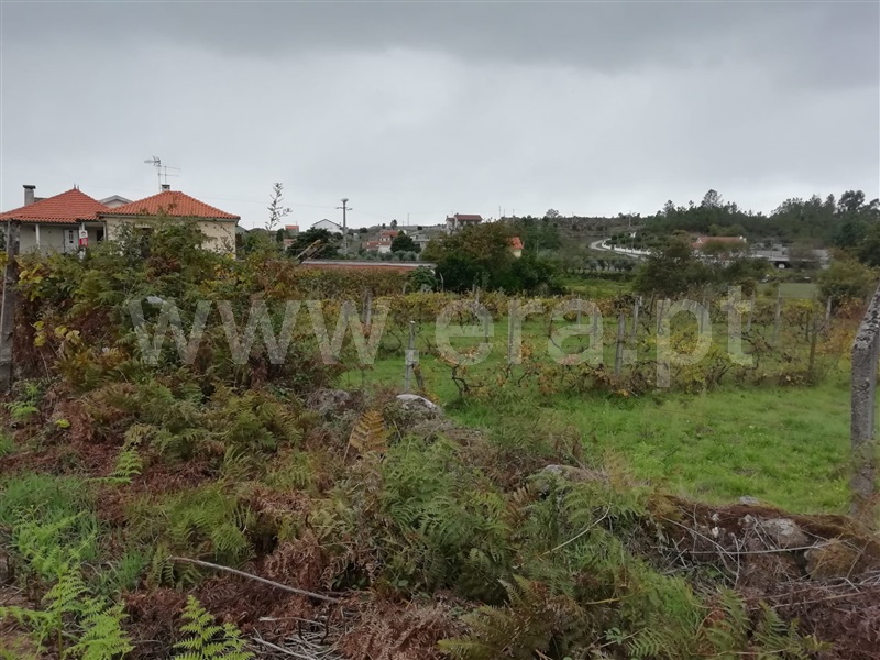 Terreno / Vouzela, São Miguel do Mato