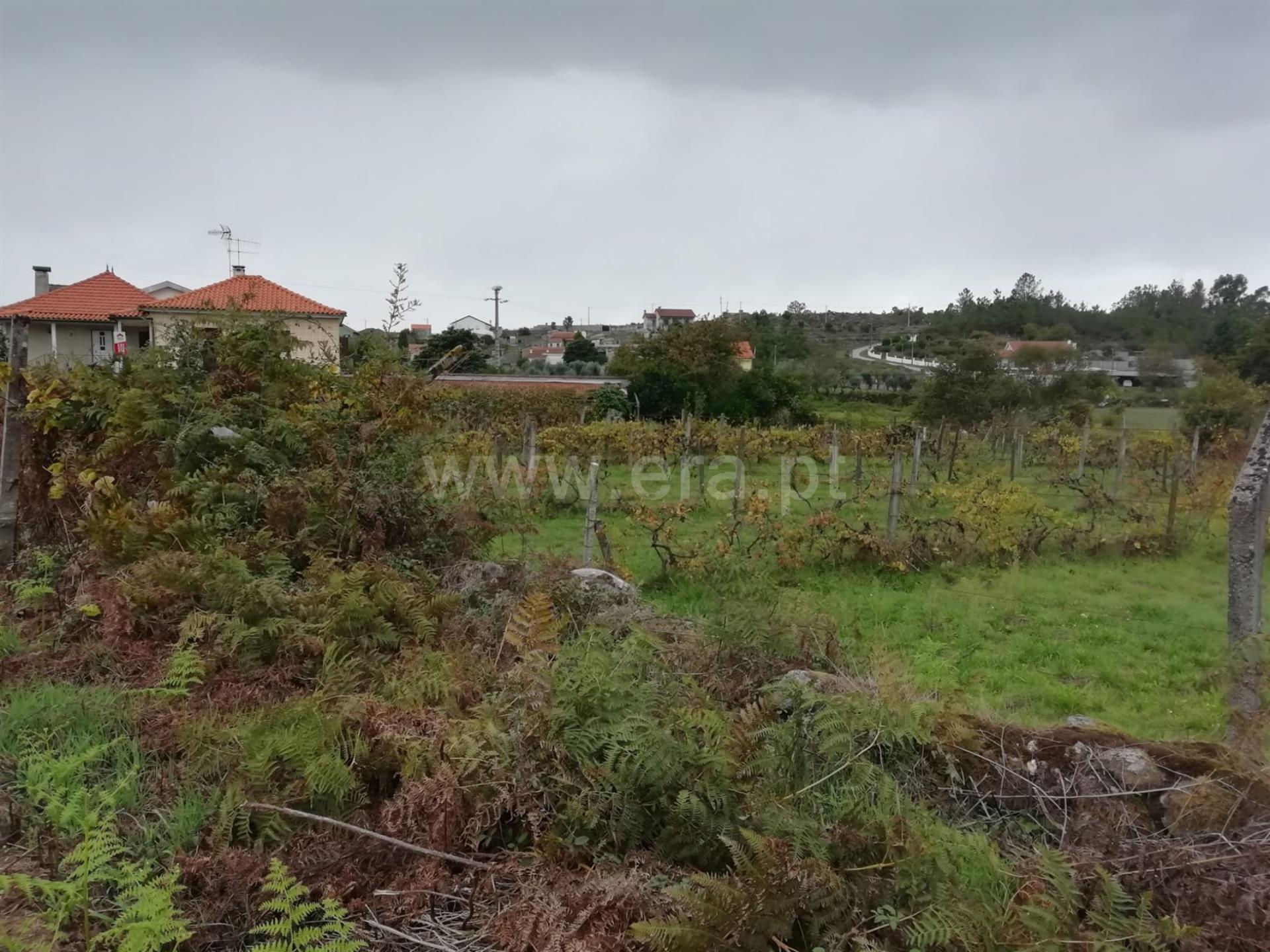 Terreno em Vouzela